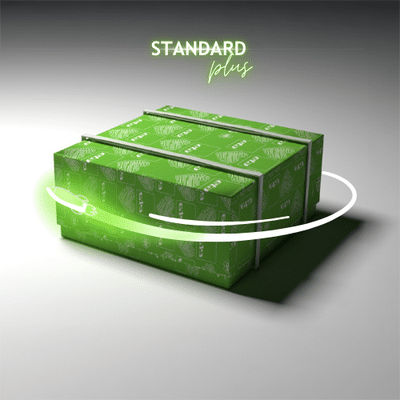 Standard Plus